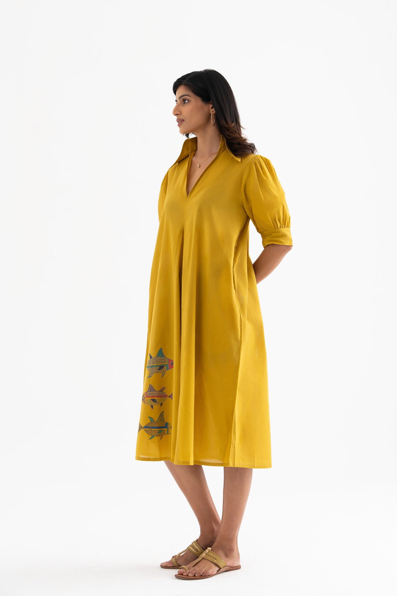 Pisces Glow - Dry Mehndi